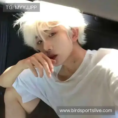 许禄仲